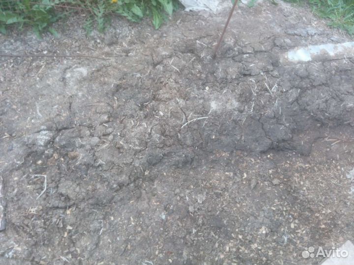 Куриный помет Бесплатно