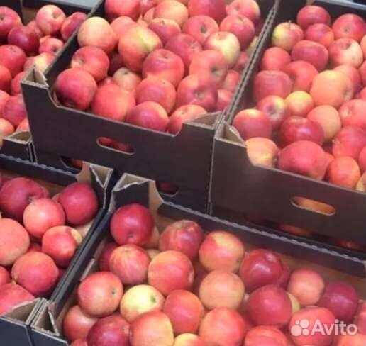 Яблоки сезонные