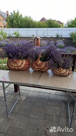 Корзины плетеные из лозы