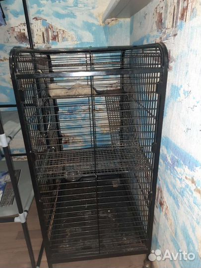 Клетка для шиншиллы бу