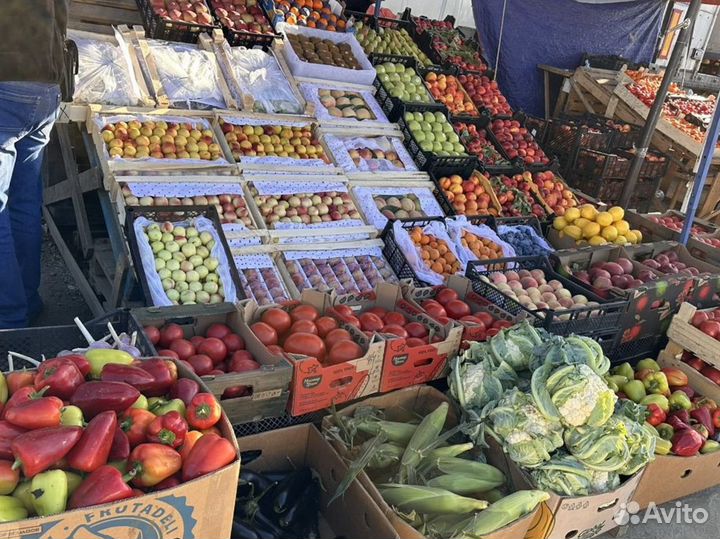 Слива кабардинка