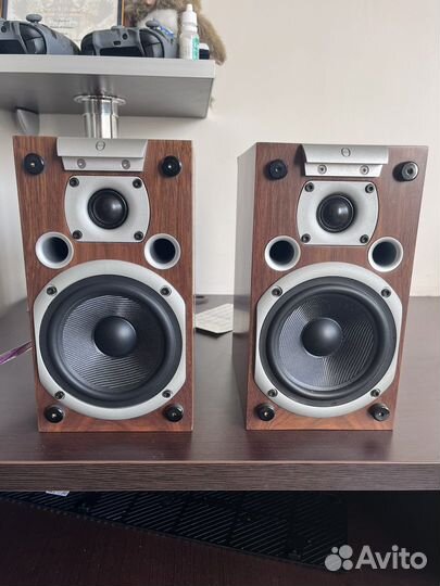 Колонки audiovector k1 полочная (тылы)