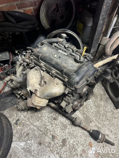 Двигатель kia rio 3 -1.4