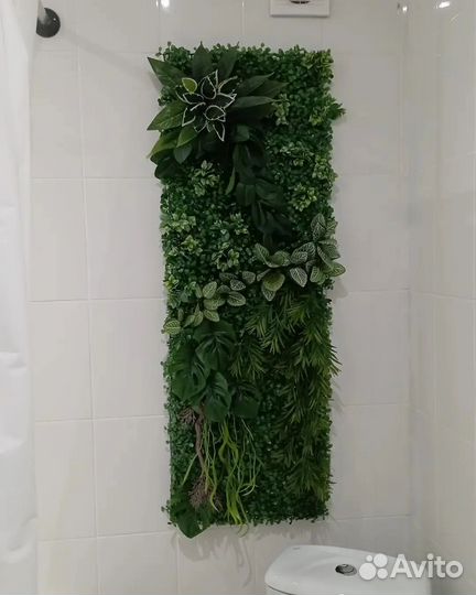 Фитопанно. Фитостена. Фитокартина