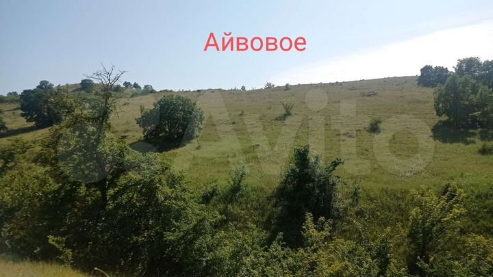 Участок 50 сот. (СНТ, ДНП)