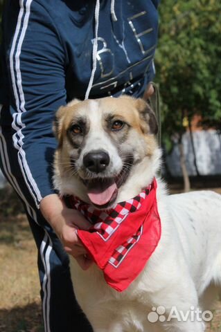 Молодая Скарлетт мечтает вырваться из приюта