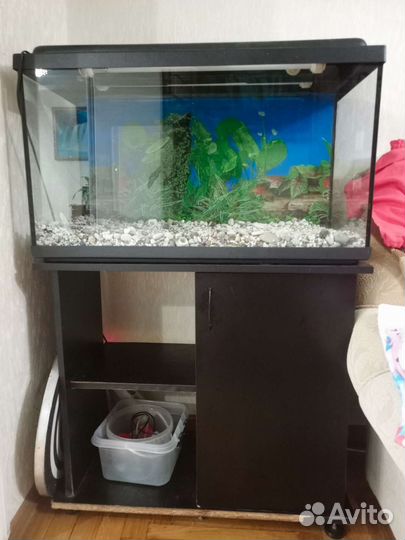 Аквариум