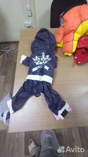 Одежда для собак, б/у