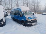 Междугородний / Пригородный автобус IVECO Daily, 2014