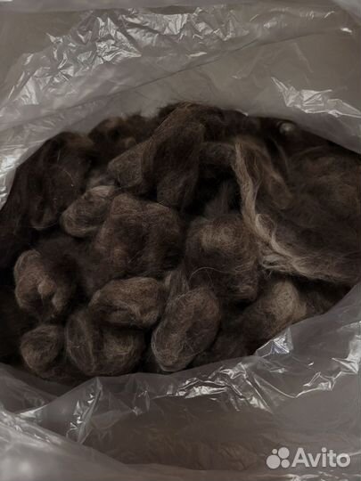 Кошачья шерсть