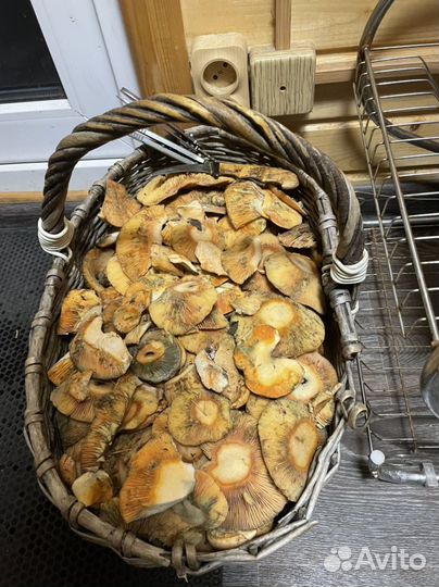 Рыжики соленые