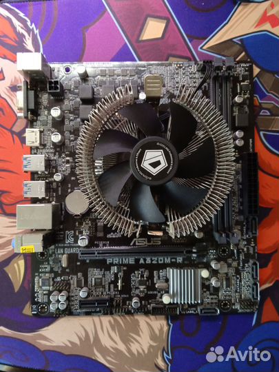 Материнская плата с процессором asus am4