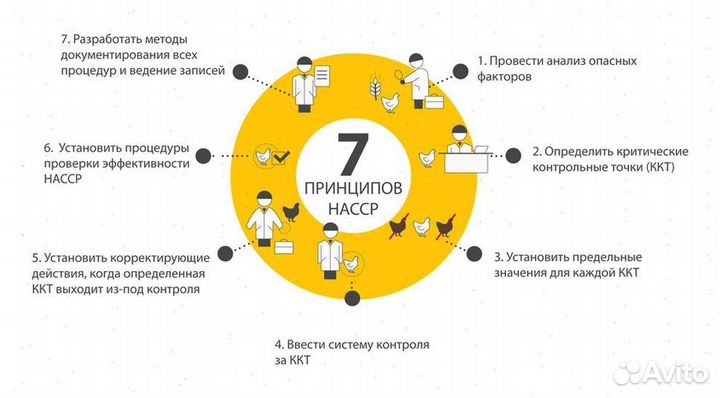 Разработка, внедрение и обеспечение хассп hassp