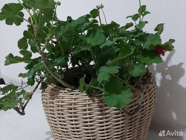 Кашпо из искусственного ротанга