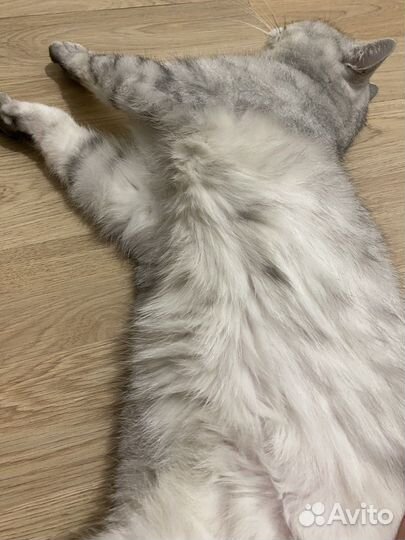 Шерсть для валяния, прядения, рукоделия