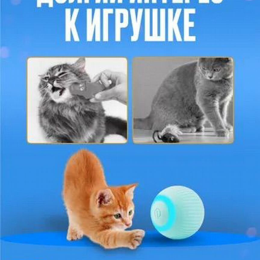 Игрушки для животных