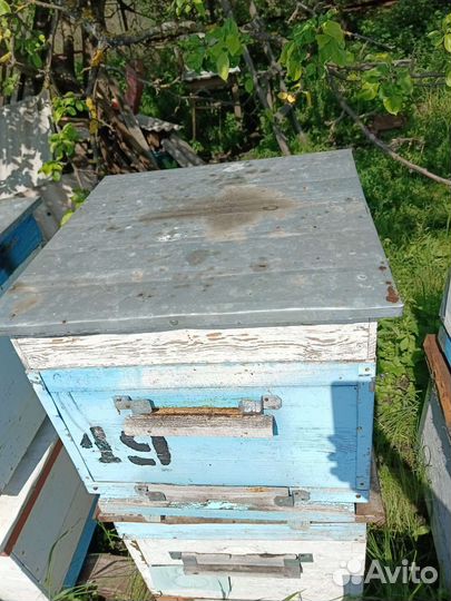 Улей для пчел бу