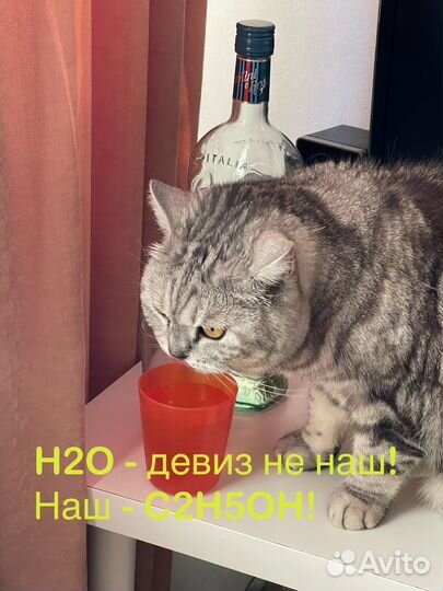 Репетитор по химии