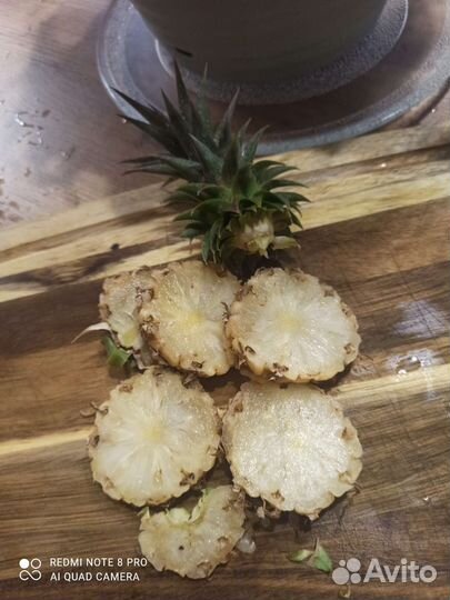 Ананас Беби (мини)