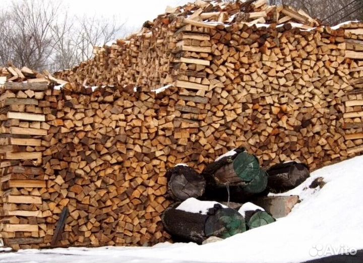 Дрова образцовые