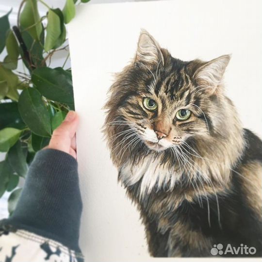 Портреты, картины под заказ/в наличии