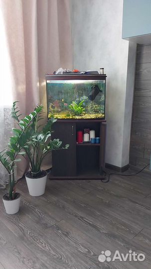 Аквариум 100 литров с тумбой и 7 рыбок