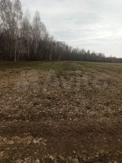 Участок 40 сот. (ИЖС)