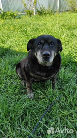 Проявите милосердие к нашей старушке