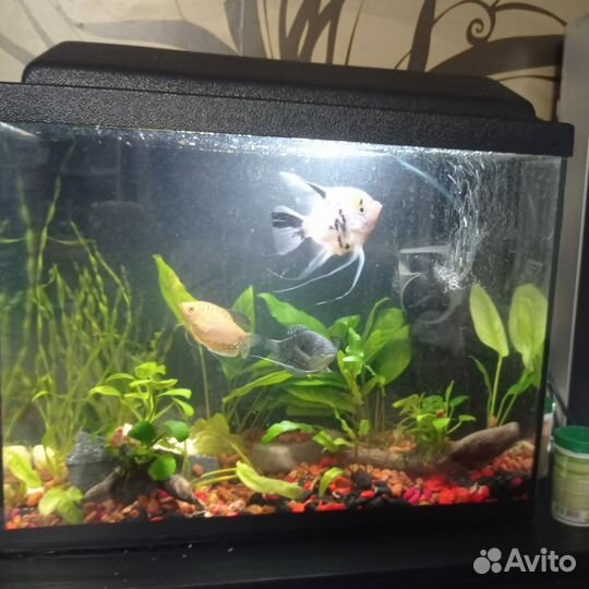 Аквариумы качественные полной комплектации