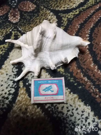 Декорации, грунт, нагреватель