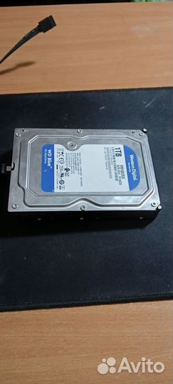 Hdd 1 tb wd