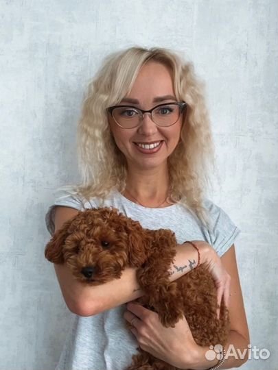 Передержка животных на время отпуска