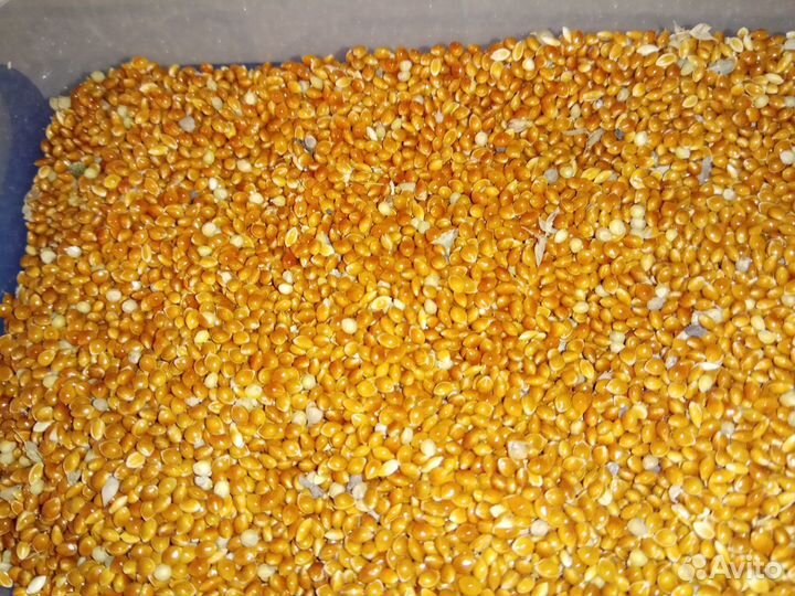 Зерно,комбикорм, премиксы