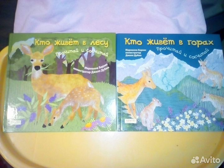 Энциклопедия+счёт