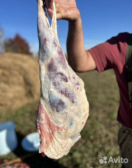 Мясо Баранины,шашлык халяль