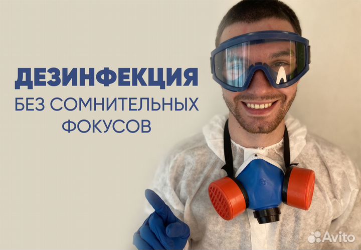 Травить клопов тараканов дезинфекция дезинсекция