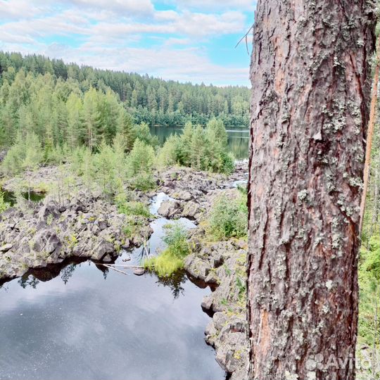 Экскурсии туры