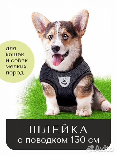 Шлейка для собак и кошек с поводком, ошейник