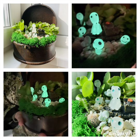 Композиция из живых растений