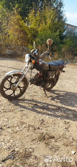 Alpha Virago 110