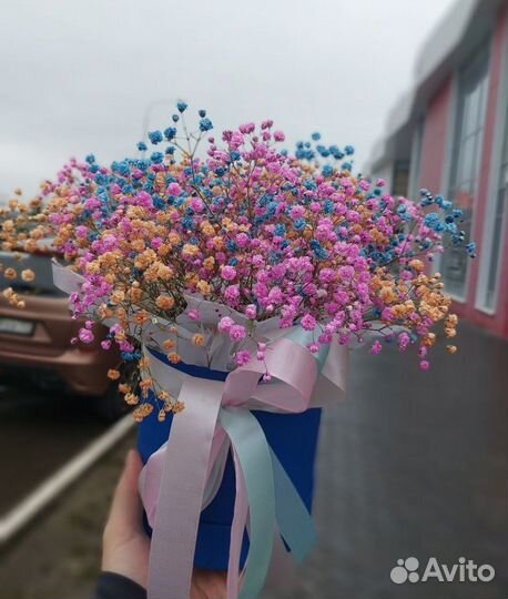 Цветы, Розы, хризантемы, Доставка, Гипсофила