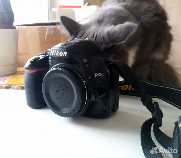 Nikon d3100