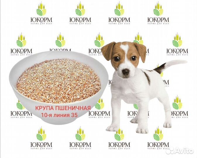 Пшеничка для собак 10-я линия 35
