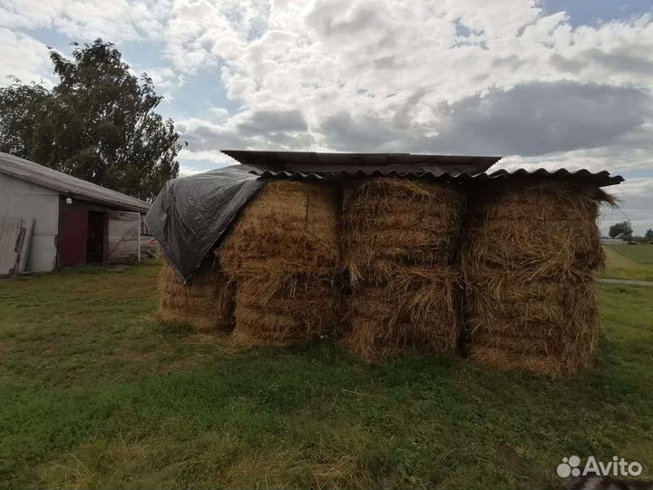 Сено в тюках