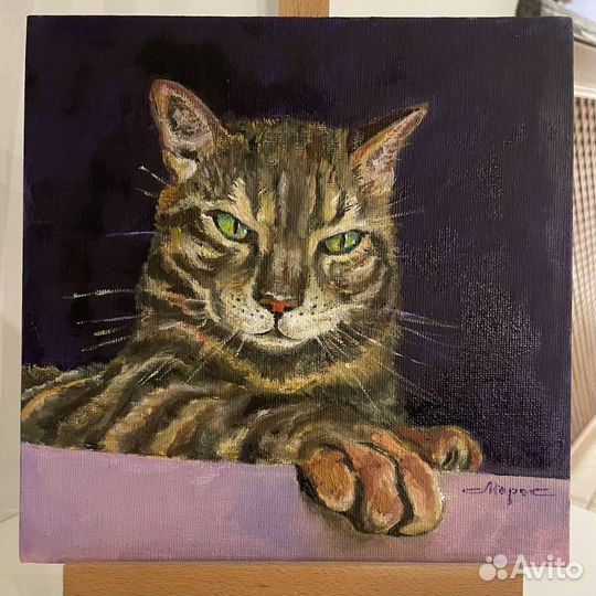 Кот которого любят. Масло, холст