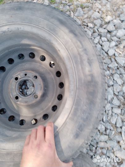 Nokian birdman x2