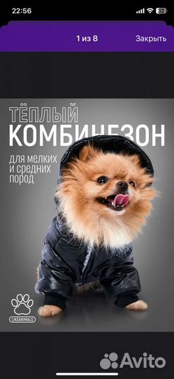 Одежда для собак комбинезон