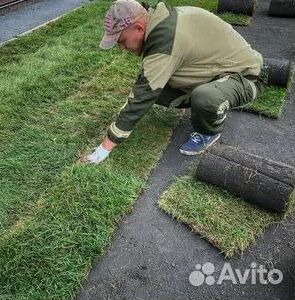 Газон рулонный