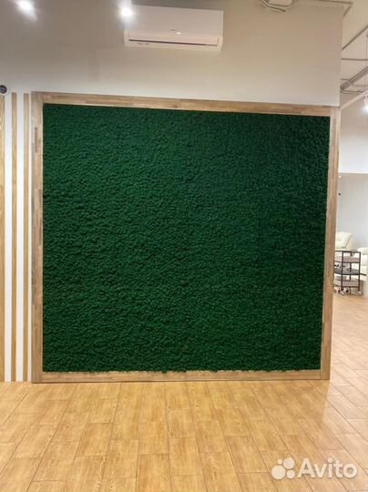 Стабилизированный мох