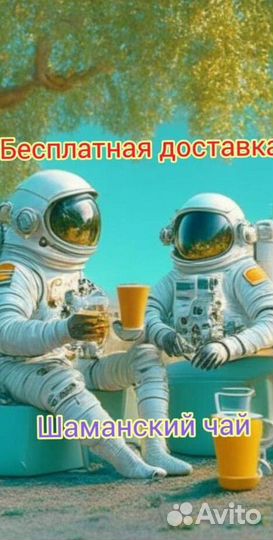 Чай пуэр « Космос шаманов » шмн14364